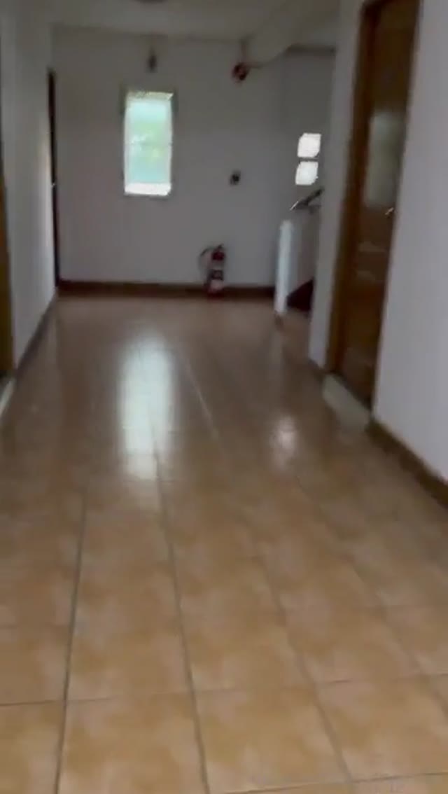 *PART 3* 🇹🇭 Guy Sucking Big Ladyboy Dicks🤤 (Asian, Big Cock, Big Tits, Thailand,Trans, Cumshot)